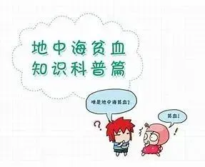 1716546375395639.webp 1.webp