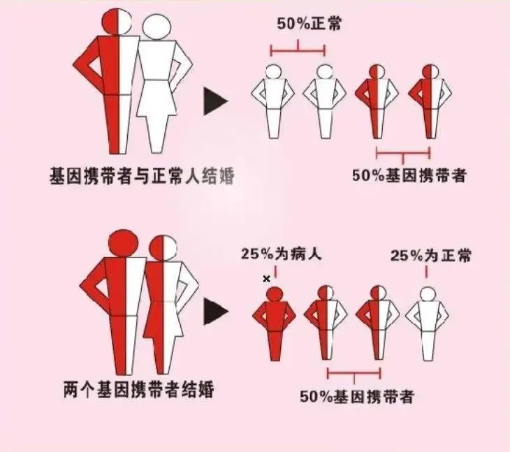 1716546383844604.webp 2.webp