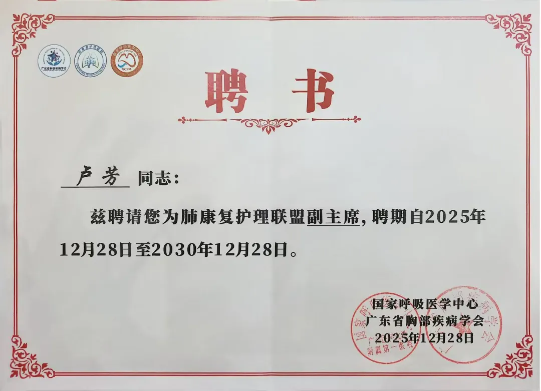 1767696443954271.webp 3.webp