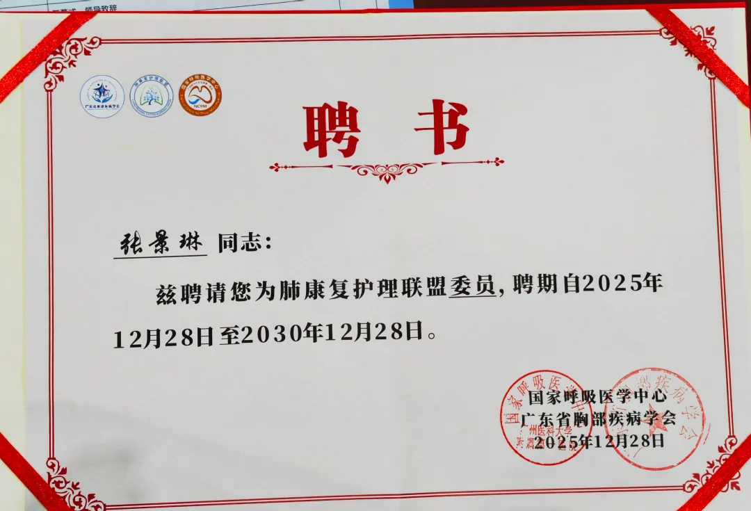 1767696485178100.webp 8.webp